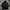 HOODIE NEW BALANCE ATHLETICS INC