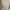 Sleve top white photo 4
