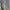 Wrangler Dungarees Blue Bell Overalls Carpenter photo 6