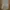 Pashmina Silk Light Brown photo 2
