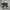 New Balance 996 Black White photo 1