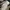 Asics Gel Venture 6 42,5 VGC photo 1