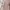 Rent Haidee Orlin Dress Outer Katbol Lilac Soft Pink Bloom photo 1