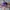 AMI Paris Streetwear Luxury Hat Pria Purple