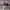 AMI Paris Streetwear Luxury Hat Pria purple photo 2