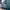 Jersey nfl eagles photo 6