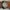 Oakley Avant Garde Futurist Pria silver cream photo 8
