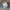 2000s Faded Hoodie Boxy Planet Pizza Pigment - Washed Boxy  photo 8