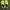 Cross Colours Casual Socks & tight Wanita green photo 1