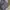 Casual Boyfriend jeans Wanita multicolor photo 3