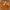 TEXAS LONGHORNS NCAA FOOTBALL JERSEY photo 1