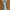 TEXAS LONGHORNS NCAA FOOTBALL JERSEY photo 3