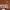 TEXAS LONGHORNS NCAA FOOTBALL JERSEY photo 5