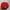 Topi New Era MLB Astros  logo Bordir Major League Baseball photo 2