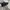SALOMON S-LAB xt6 photo 4