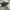 SALOMON S-LAB xt6 photo 4