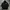 HOODIE NEW BALANCE RUNS photo 2