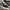 VANS SK8  photo 2