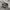 VANS OLD SKOOL photo 1