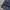 Jeans a bathing ape aape bape  photo 4