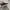 VANS AUTHENTIC  photo 4