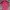 Adidas tango graphic striped jersey photo 1