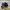Skechers Sportswear Sneakers Pria black photo 1