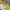 Adidas Casual Sweatshirt Kids green photo 2