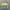 Adidas Casual Sweatshirt Kids green photo 1