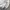 Champion Casual Sweatshirt Pria white gray photo 2