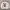 Adidas Casual Biker Sweatshirt Pria White