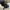 Stroller Kindla Cuddle Bee LightWeight photo 2