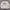 Champion Casual Biker Sweatshirt Pria White Gray