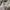 Shein Minimalist Casual Wanita white photo 2
