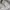 Tultex Casual Biker Sweatshirt Pria Gray