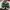Adidas Streetwear Y2K Sneakers Pria green photo 2