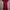 Midi Dress Maroon