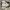 VANS Streetwear Skater Sneakers Pria White