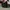 VANS Streetwear Skater Sneakers Pria white photo 7