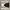 VANS Streetwear Skater Sneakers Pria white photo 5