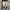 VANS Streetwear Skater Sneakers Pria white photo 4