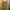 Vintage Bodycon Dress Wanita Yellow