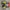 Nike Streetwear Y2K Sneakers Wanita green yellow photo 5