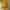 Yellow crop top factorie photo 2