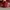 Nike Streetwear Y2K Sneakers Wanita silver red photo 8
