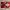 Nike Streetwear Y2K Sneakers Wanita silver red photo 4