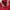 MLB Y2K Sportswear Varsity jacket Pria multicolor photo 5