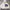 Nike ACG Gorpcore Windbreaker Pria White