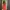 red mini dress photo 3