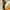 CARHARTT HOODED ALFRED HALF ZIP SWEAT photo 5